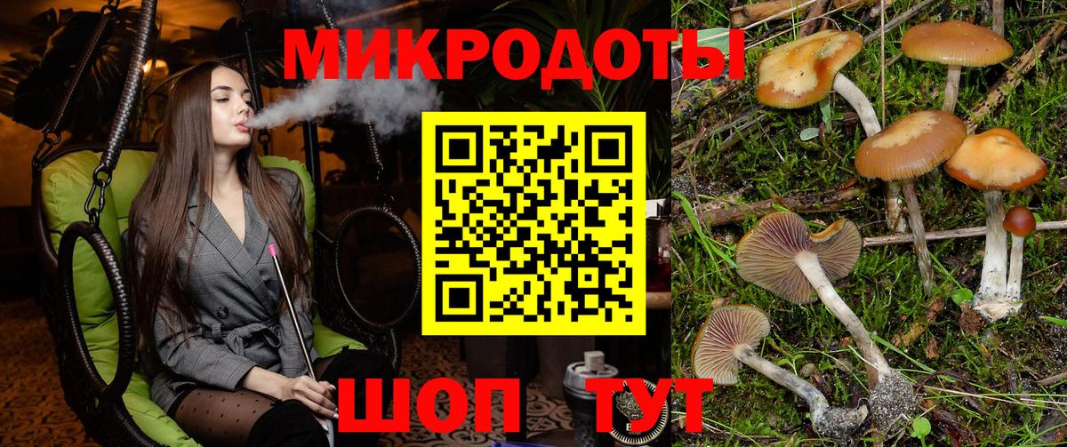 Псилоцибиновые грибы Psilocybine cubensis Тольятти